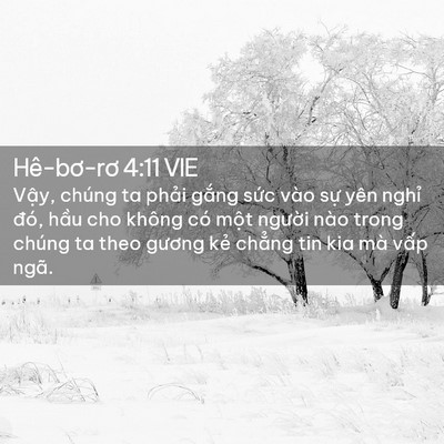 Picture 02 - Hê-bơ-rơ 4:11 VIE - Vậy, chúng ta phải gắng sức vào sự - Bible Verse Picture