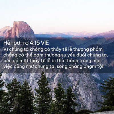 Picture 02 - Hê-bơ-rơ 4:15 VIE - Vì chúng ta không có thầy tế lễ - Bible Verse Picture