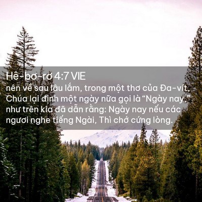 Picture 02 - Hê-bơ-rơ 4:7 VIE - nên về sau lâu lắm, trong một thơ của - Bible Verse Picture