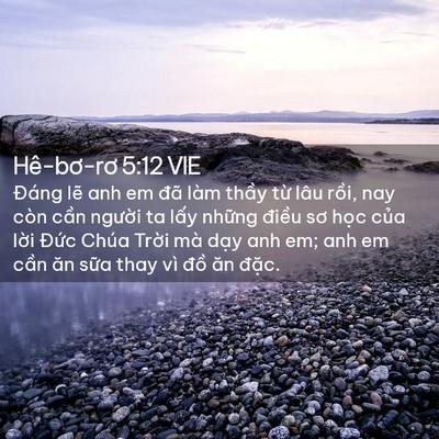 Picture 02 - Hê-bơ-rơ 5:12 VIE - Đáng lẽ anh em đã làm thầy từ lâu - Bible Verse Picture