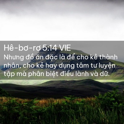 Picture 02 - Hê-bơ-rơ 5:14 VIE - Nhưng đồ ăn đặc là để cho kẻ thành - Bible Verse Picture
