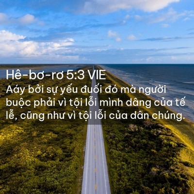 Picture 02 - Hê-bơ-rơ 5:3 VIE - Aáy bởi sự yếu đuối đó mà người - Bible Verse Picture