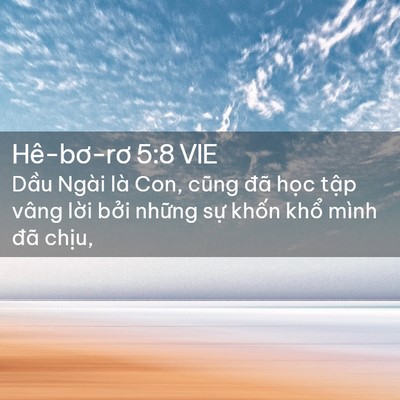 Picture 02 - Hê-bơ-rơ 5:8 VIE - Dầu Ngài là Con, cũng đã học tập vâng - Bible Verse Picture