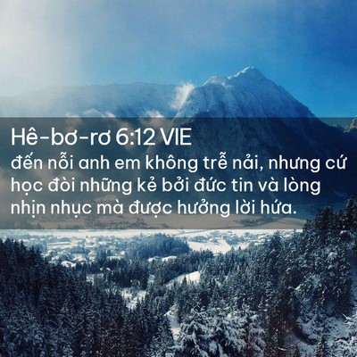 Picture 02 - Hê-bơ-rơ 6:12 VIE - đến nỗi anh em không trễ nải, nhưng - Bible Verse Picture