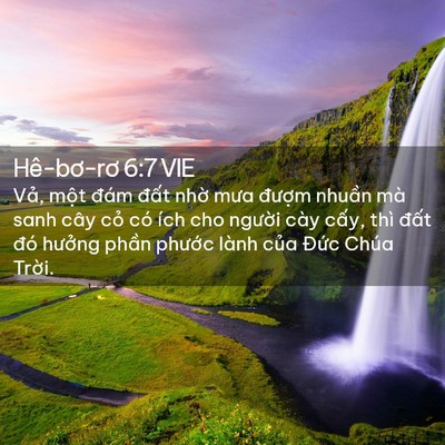 Picture 02 - Hê-bơ-rơ 6:7 VIE - Vả, một đám đất nhờ mưa đượm - Bible Verse Picture