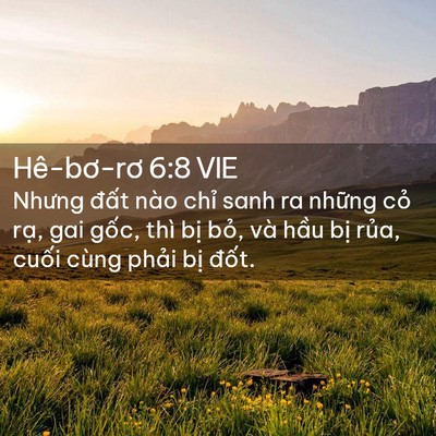 Picture 02 - Hê-bơ-rơ 6:8 VIE - Nhưng đất nào chỉ sanh ra những cỏ - Bible Verse Picture
