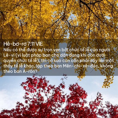 Picture 02 - Hê-bơ-rơ 7:11 VIE - Nếu có thể được sự trọn vẹn bởi - Bible Verse Picture