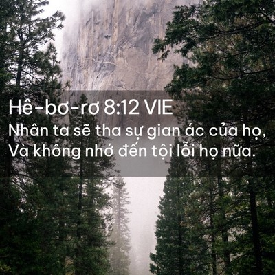 Picture 02 - Hê-bơ-rơ 8:12 VIE - Nhân ta sẽ tha sự gian ác của họ, Và - Bible Verse Picture