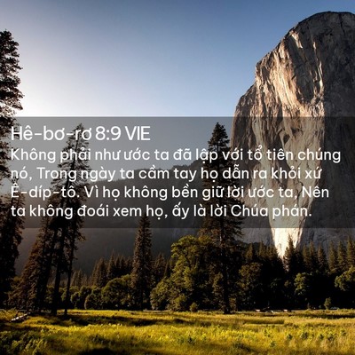 Picture 02 - Hê-bơ-rơ 8:9 VIE - Không phải như ước ta đã lập với - Bible Verse Picture