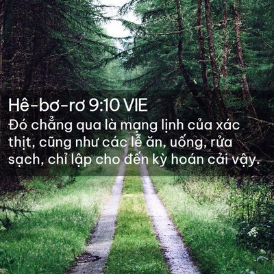 Picture 02 - Hê-bơ-rơ 9:10 VIE - Đó chẳng qua là mạng lịnh của xác - Bible Verse Picture