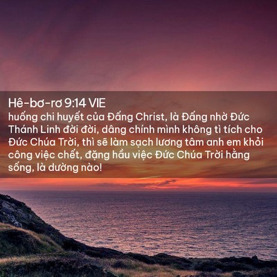Picture 02 - Hê-bơ-rơ 9:14 VIE - huống chi huyết của Đấng Christ, là - Bible Verse Picture