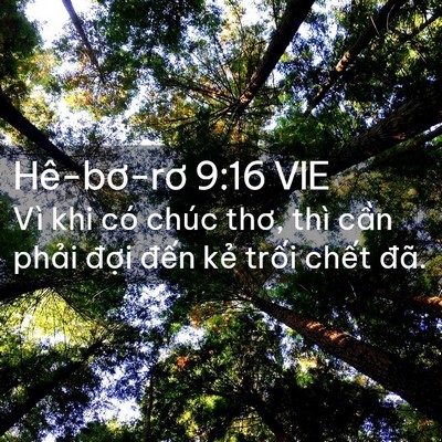 Picture 02 - Hê-bơ-rơ 9:16 VIE - Vì khi có chúc thơ, thì cần phải đợi - Bible Verse Picture