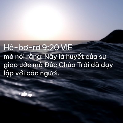 Picture 02 - Hê-bơ-rơ 9:20 VIE - mà nói rằng: Nầy là huyết của sự - Bible Verse Picture