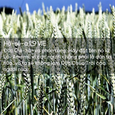 Picture 02 - Hô-sê-a 1:9 VIE - Đức Giê-hô-va phán rằng: Hãy đặt tên - Bible Verse Picture