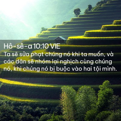 Picture 02 - Hô-sê-a 10:10 VIE - Ta sẽ sửa phạt chúng nó khi ta muốn, - Bible Verse Picture