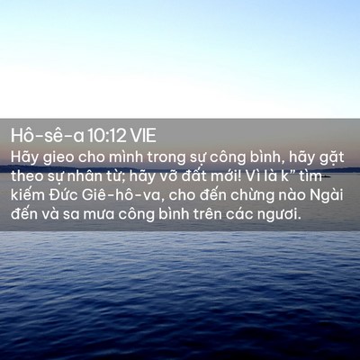 Picture 02 - Hô-sê-a 10:12 VIE - Hãy gieo cho mình trong sự công bình, hãy - Bible Verse Picture