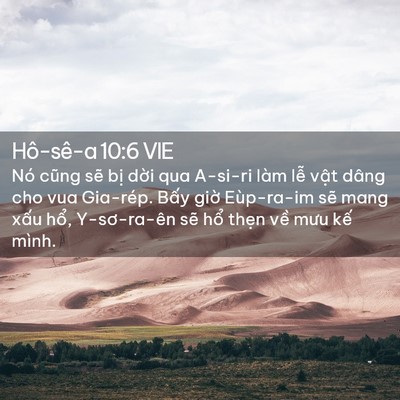 Picture 02 - Hô-sê-a 10:6 VIE - Nó cũng sẽ bị dời qua A-si-ri làm lễ - Bible Verse Picture