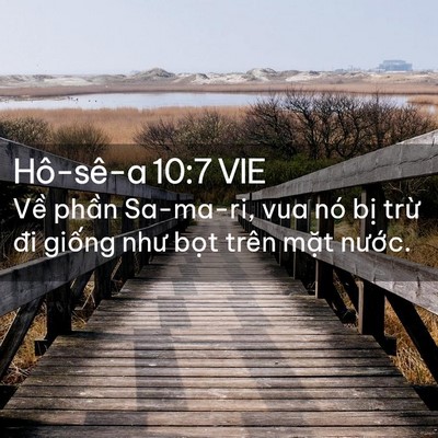 Picture 02 - Hô-sê-a 10:7 VIE - Về phần Sa-ma-ri, vua nó bị trừ đi - Bible Verse Picture
