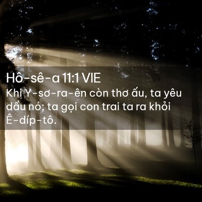 Picture 02 - Hô-sê-a 11:1 VIE - Khi Y-sơ-ra-ên còn thơ ấu, ta yêu dấu - Bible Verse Picture