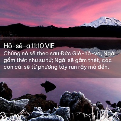 Picture 02 - Hô-sê-a 11:10 VIE - Chúng nó sẽ theo sau Đức Giê-hô-va, - Bible Verse Picture
