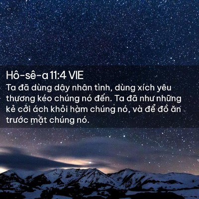 Picture 02 - Hô-sê-a 11:4 VIE - Ta đã dùng dây nhân tình, dùng xích yêu - Bible Verse Picture