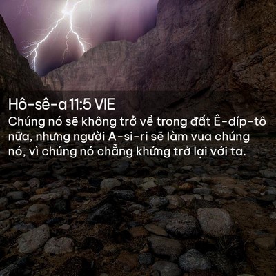 Picture 02 - Hô-sê-a 11:5 VIE - Chúng nó sẽ không trở về trong đất - Bible Verse Picture