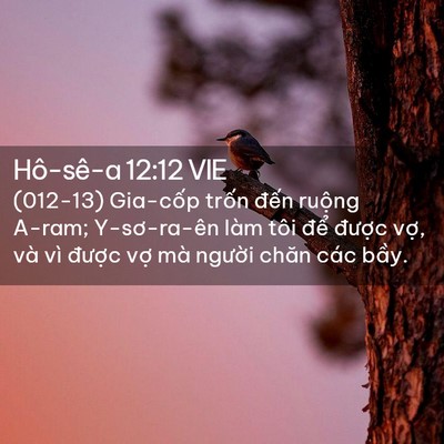 Picture 02 - Hô-sê-a 12:12 VIE - (012-13) Gia-cốp trốn đến ruộng A-ram; - Bible Verse Picture