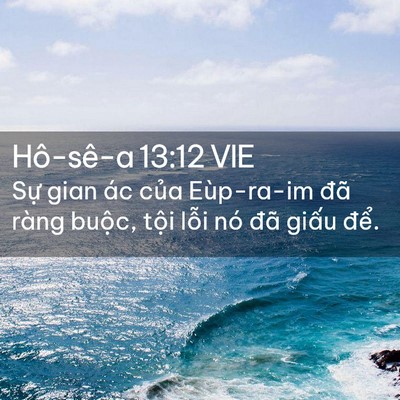 Picture 02 - Hô-sê-a 13:12 VIE - Sự gian ác của Eùp-ra-im đã ràng buộc, - Bible Verse Picture