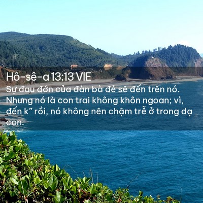 Picture 02 - Hô-sê-a 13:13 VIE - Sự đau đớn của đàn bà đẻ sẽ - Bible Verse Picture