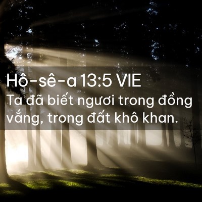 Picture 02 - Hô-sê-a 13:5 VIE - Ta đã biết ngươi trong đồng vắng, - Bible Verse Picture