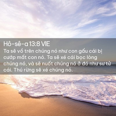 Picture 02 - Hô-sê-a 13:8 VIE - Ta sẽ vồ trên chúng nó như con gấu cái - Bible Verse Picture
