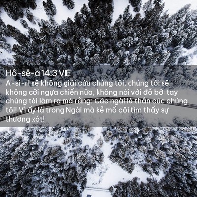 Picture 02 - Hô-sê-a 14:3 VIE - A-si-ri sẽ không giải cứu chúng tôi, - Bible Verse Picture
