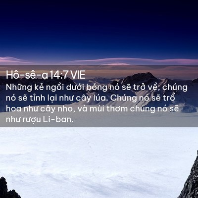 Picture 02 - Hô-sê-a 14:7 VIE - Những kẻ ngồi dưới bóng nó sẽ trở - Bible Verse Picture