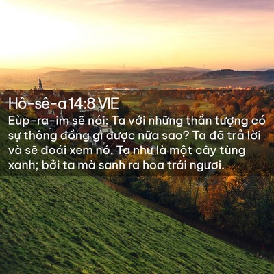 Picture 02 - Hô-sê-a 14:8 VIE - Eùp-ra-im sẽ nói: Ta với những thần - Bible Verse Picture