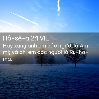 Picture 02 - Hô-sê-a 2:1 VIE - Hãy xưng anh em các ngươi là Am-mi; và - Bible Verse Picture