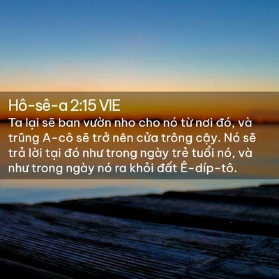Picture 02 - Hô-sê-a 2:15 VIE - Ta lại sẽ ban vườn nho cho nó từ nơi - Bible Verse Picture