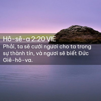 Picture 02 - Hô-sê-a 2:20 VIE - Phải, ta sẽ cưới ngươi cho ta trong sự - Bible Verse Picture