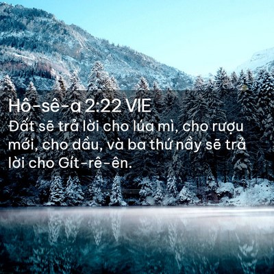 Picture 02 - Hô-sê-a 2:22 VIE - Đất sẽ trả lời cho lúa mì, cho rượu - Bible Verse Picture