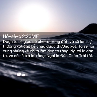 Picture 02 - Hô-sê-a 2:23 VIE - Đoạn ta sẽ gieo nó cho ta trong đất, và - Bible Verse Picture