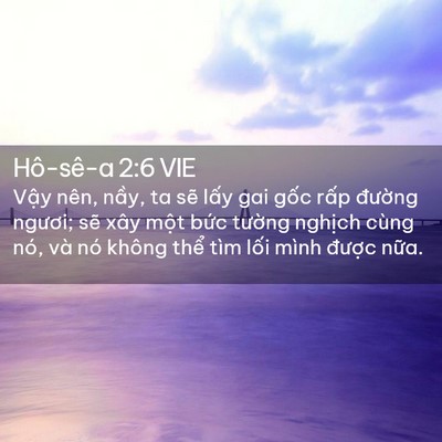 Picture 02 - Hô-sê-a 2:6 VIE - Vậy nên, nầy, ta sẽ lấy gai gốc rấp - Bible Verse Picture