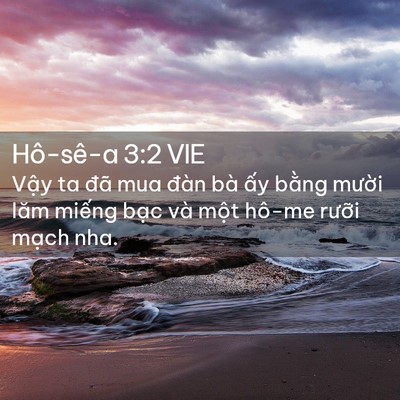 Picture 02 - Hô-sê-a 3:2 VIE - Vậy ta đã mua đàn bà ấy bằng mười - Bible Verse Picture