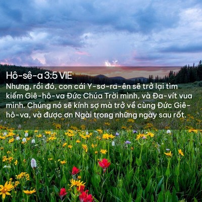 Picture 02 - Hô-sê-a 3:5 VIE - Nhưng, rồi đó, con cái Y-sơ-ra-ên sẽ - Bible Verse Picture