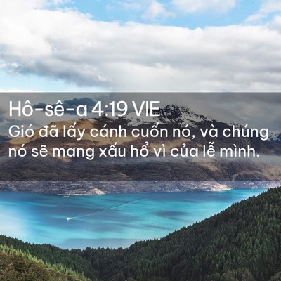 Picture 02 - Hô-sê-a 4:19 VIE - Gió đã lấy cánh cuốn nó, và chúng nó - Bible Verse Picture
