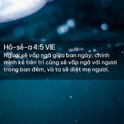 Picture 02 - Hô-sê-a 4:5 VIE - Ngươi sẽ vấp ngã giữa ban ngày; chính - Bible Verse Picture