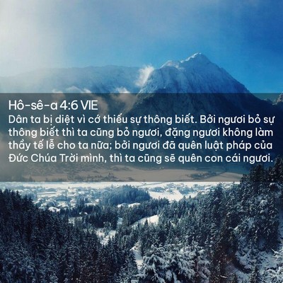 Picture 02 - Hô-sê-a 4:6 VIE - Dân ta bị diệt vì cớ thiếu sự thông - Bible Verse Picture
