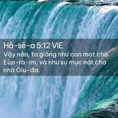 Picture 02 - Hô-sê-a 5:12 VIE - Vậy nên, ta giống như con mọt cho - Bible Verse Picture