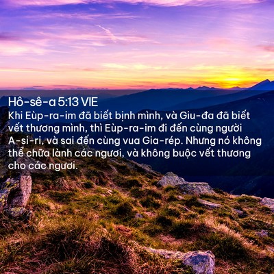 Picture 02 - Hô-sê-a 5:13 VIE - Khi Eùp-ra-im đã biết bịnh mình, và - Bible Verse Picture