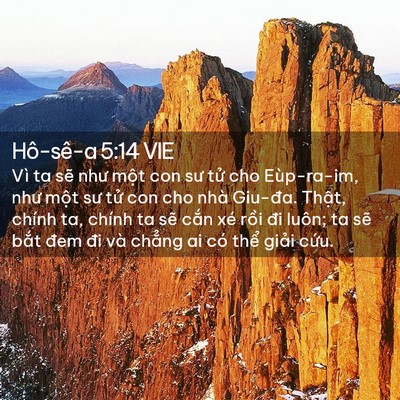 Picture 02 - Hô-sê-a 5:14 VIE - Vì ta sẽ như một con sư tử cho - Bible Verse Picture