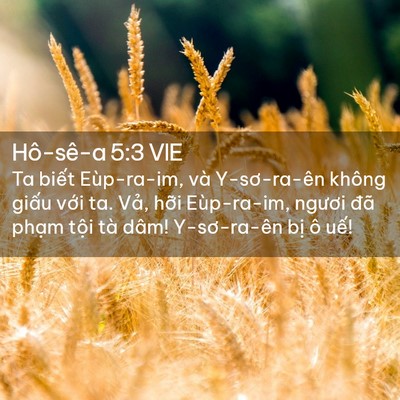 Picture 02 - Hô-sê-a 5:3 VIE - Ta biết Eùp-ra-im, và Y-sơ-ra-ên không - Bible Verse Picture