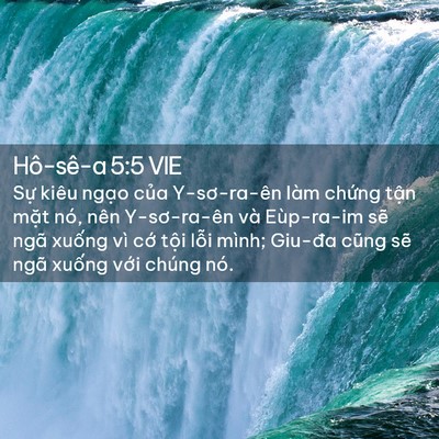 Picture 02 - Hô-sê-a 5:5 VIE - Sự kiêu ngạo của Y-sơ-ra-ên làm chứng - Bible Verse Picture